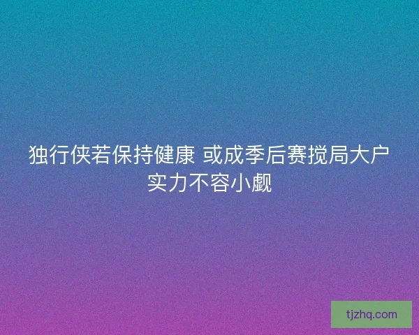 独行侠若保持健康 或成季后赛搅局大户实力不容小觑